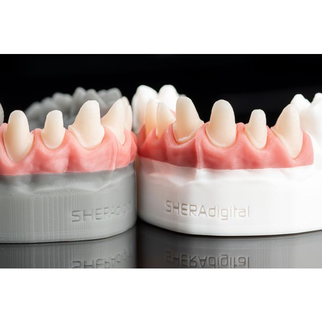 SHERAPRINT GINGIVA