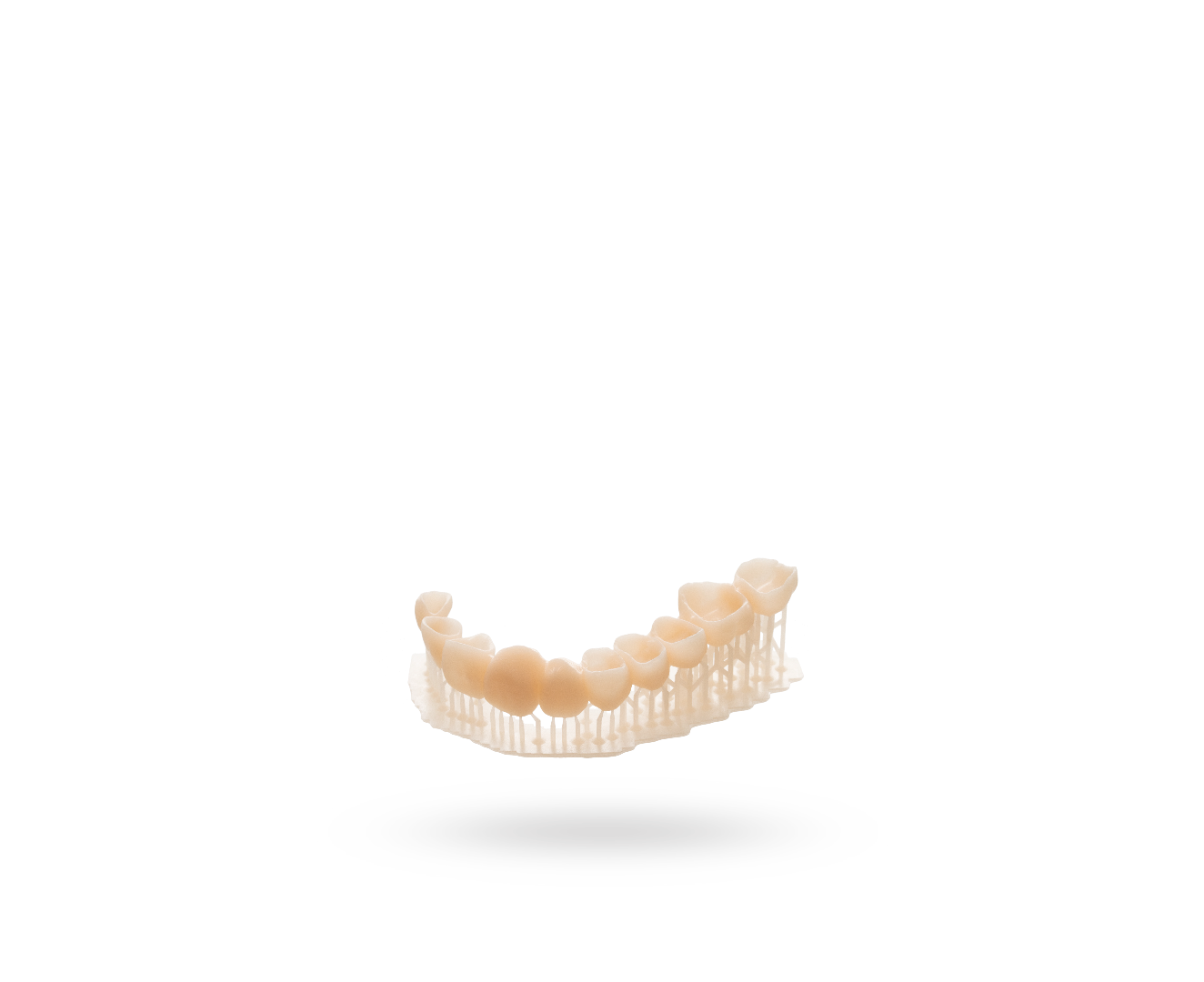 NYTE 3D 3IN1 TRAY IN