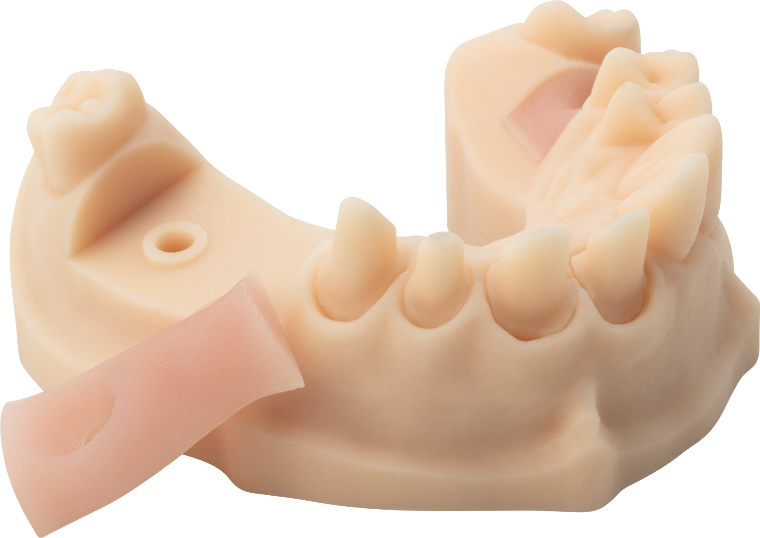 NYTE 3D GINGIVA