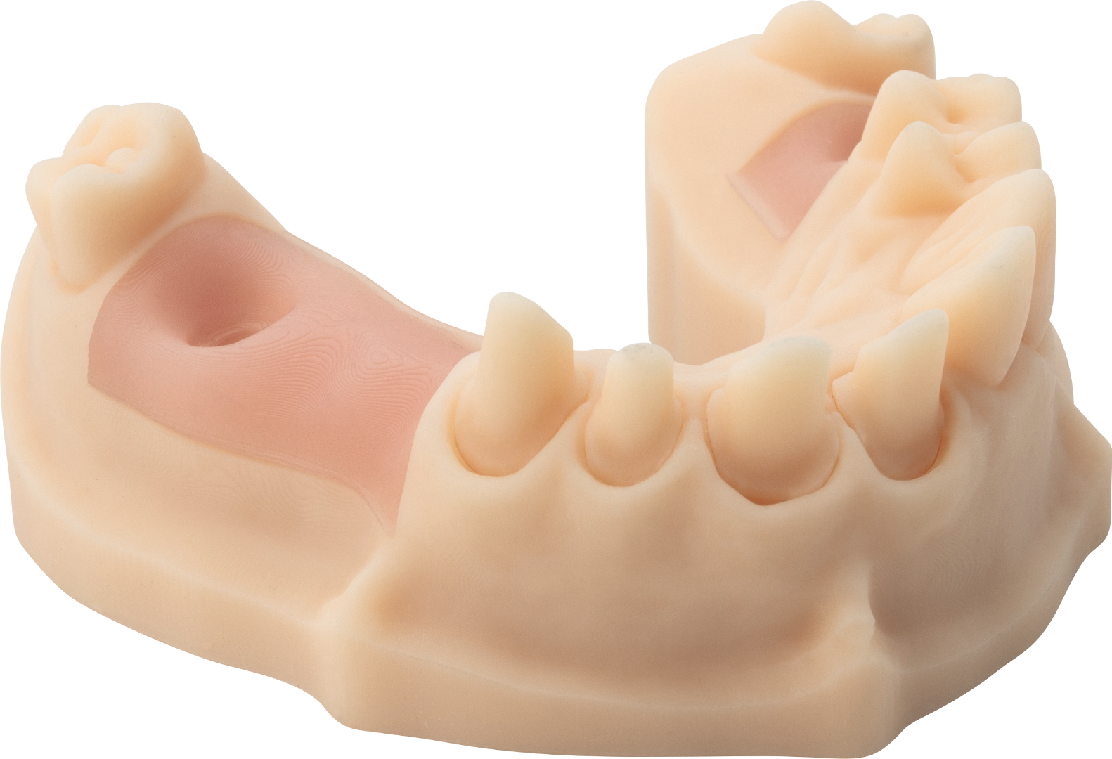 NYTE 3D GINGIVA