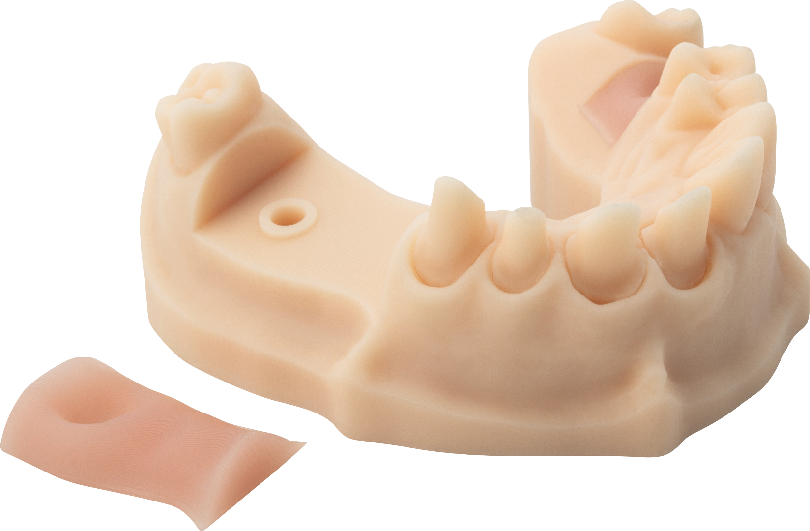 NYTE 3D GINGIVA