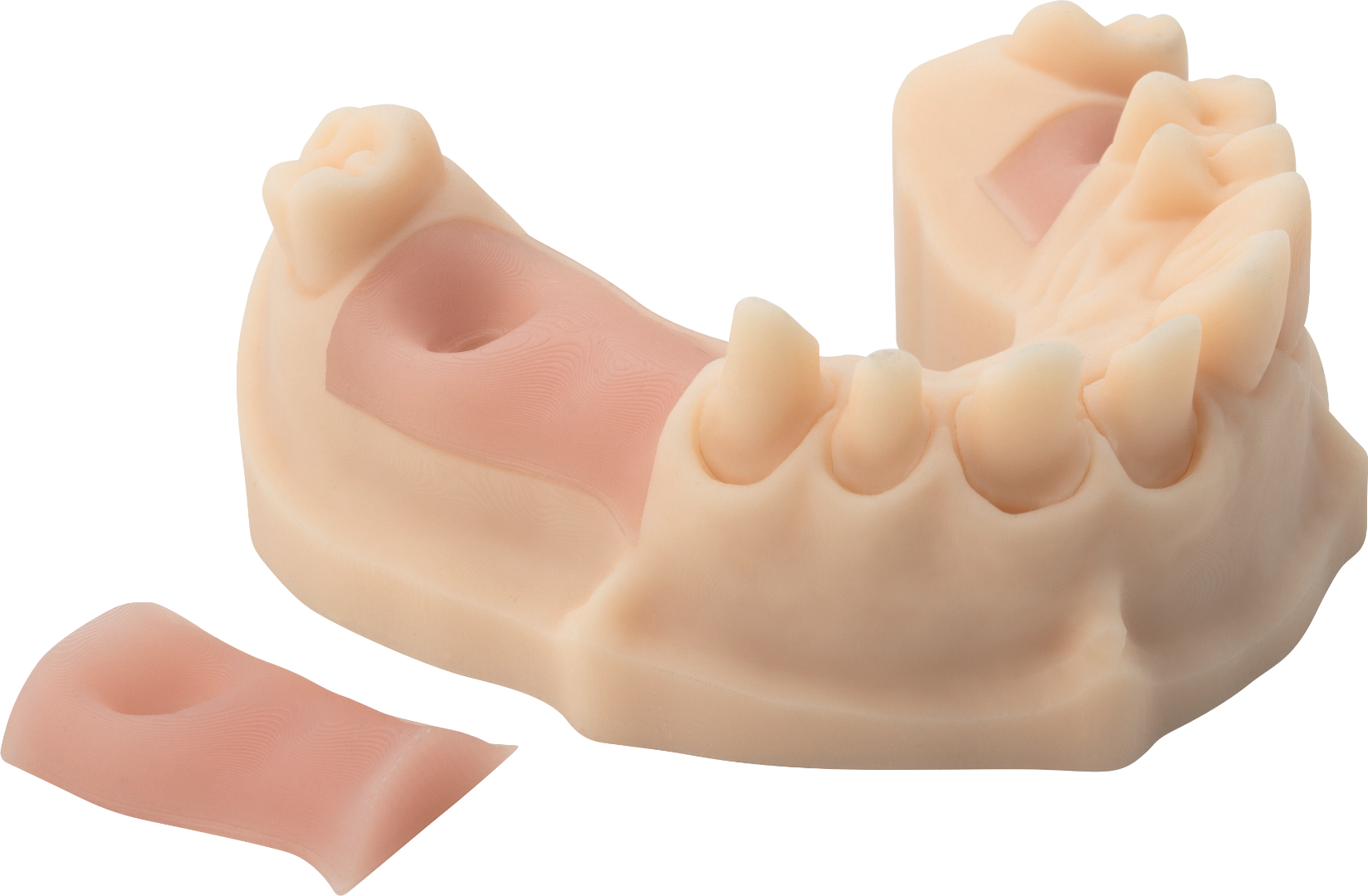 NYTE 3D GINGIVA