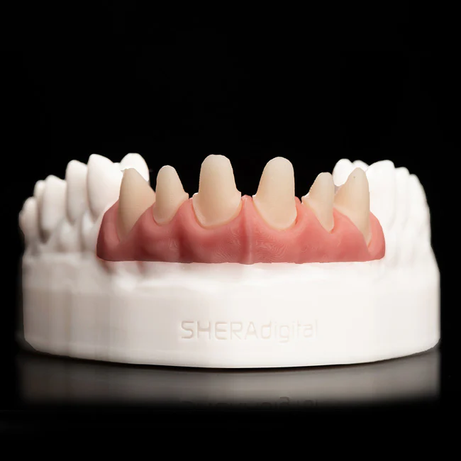 SHERAPRINT GINGIVA 2.0