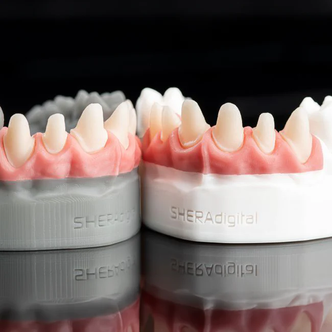 SHERAPRINT GINGIVA 2.0