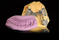 MULTISIL ELASTIC
